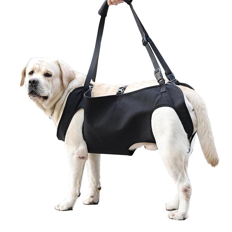 강아지 계단 보조 리드 노령견 지원 슬링 조절 가능한  - Harness Climbing Adjustable 리뷰 및 가격