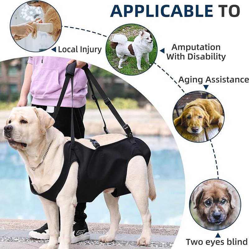 강아지 계단 보조 리드 노령견 지원 슬링 조절 가능한  - Harness Climbing Adjustable 리뷰 및 가격