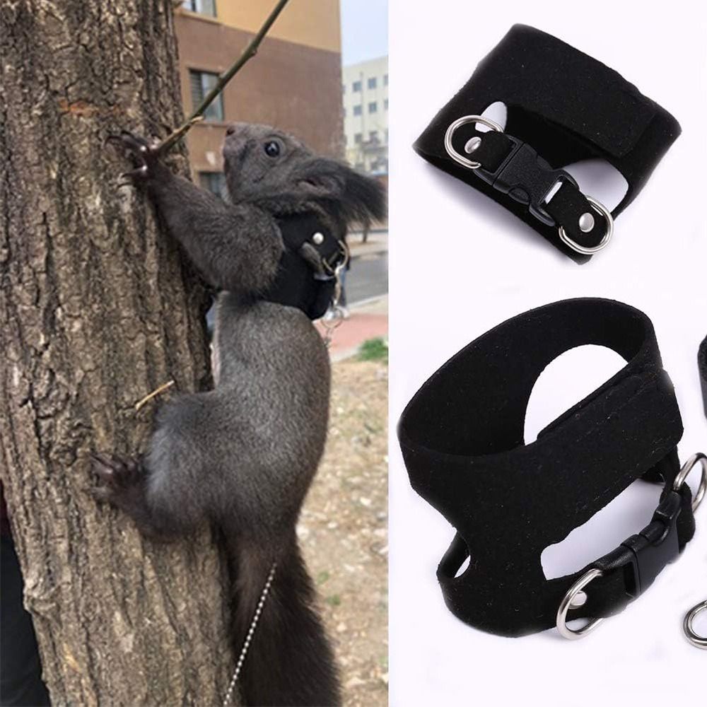 조절 가능한 쥐 하네스 및 리쉬 세트 3가지 사이즈 조 - Harness Climbing Adjustable 리뷰 및 가격