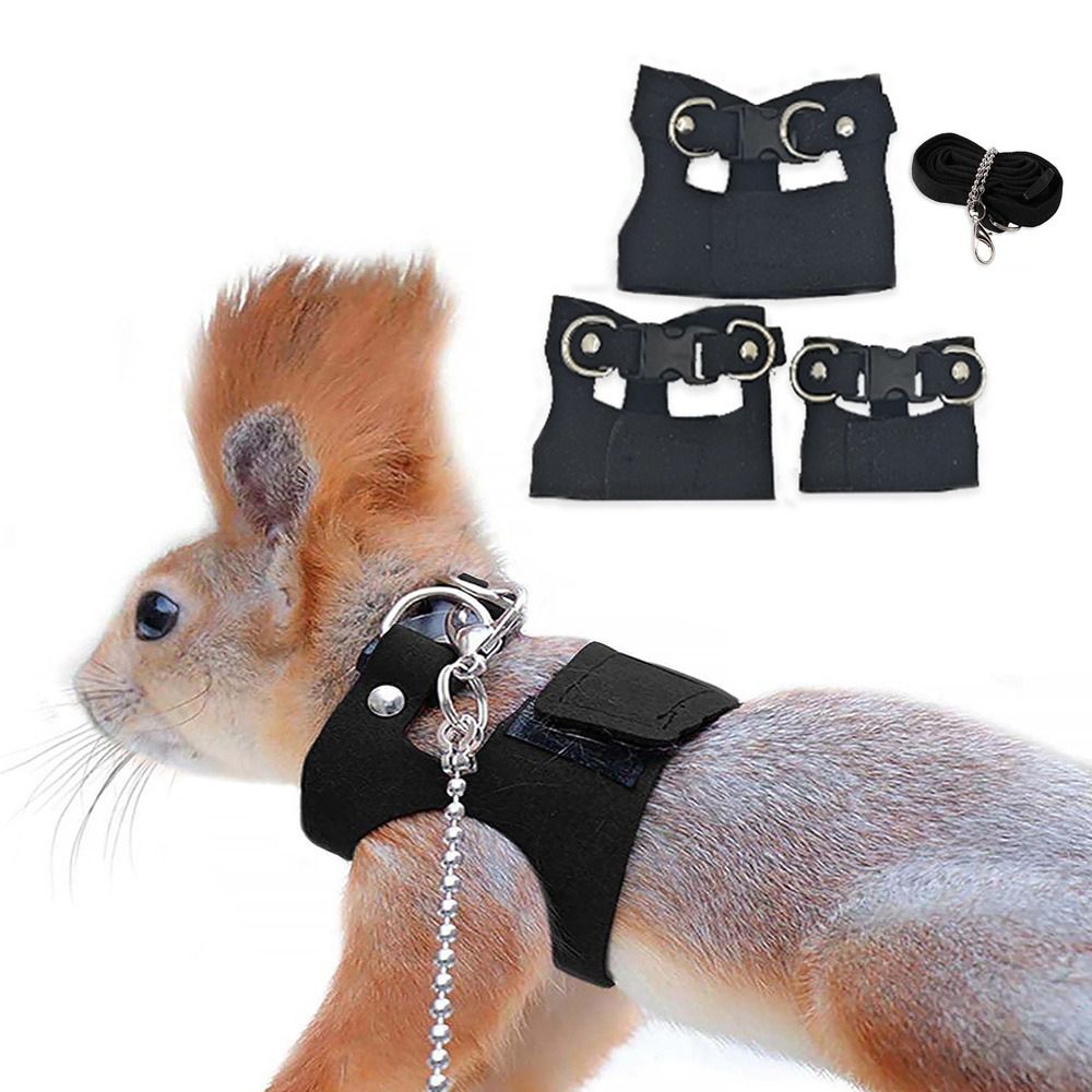 조절 가능한 쥐 하네스 및 리쉬 세트 3가지 사이즈 조 - Harness Climbing Adjustable 리뷰 및 가격