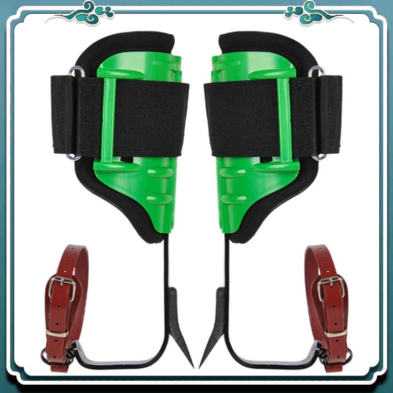 신뢰할 수 있는 조절식 나무 등반 스파이크 (관찰 및  - Harness Climbing Adjustable 리뷰 및 가격